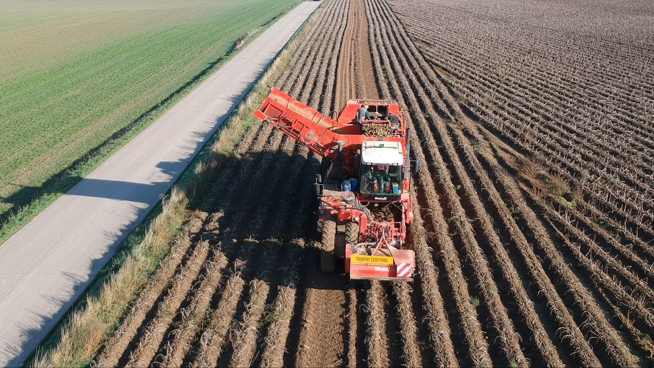 Arrachage des Pommes de Terre 2020