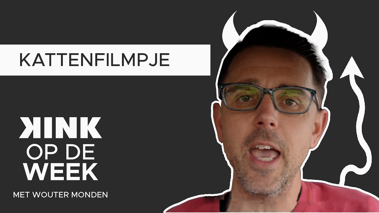 KINK Op De Week: Kattenfilmpje