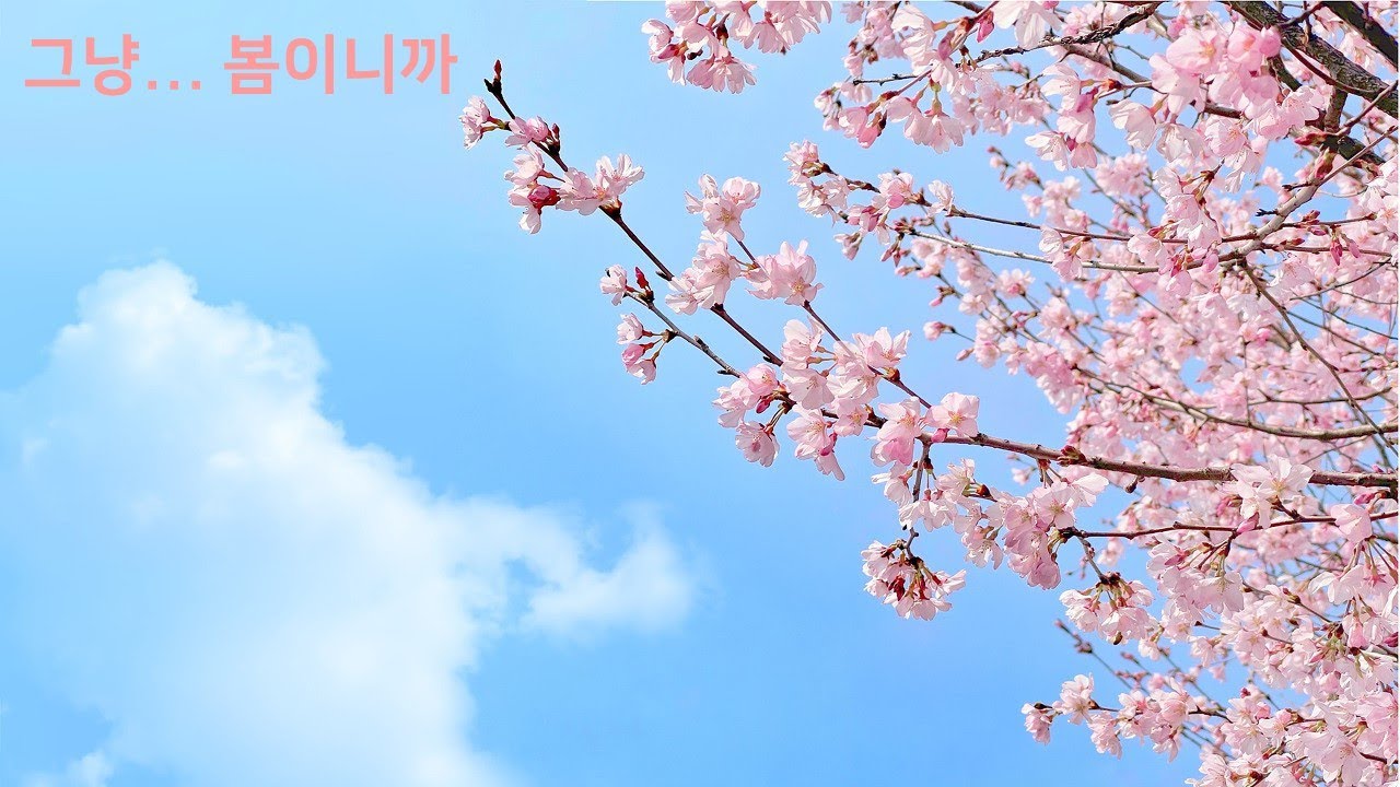 그냥... 봄이니까 | 봄 Playlist | 봄노래 | 봄 Mix |