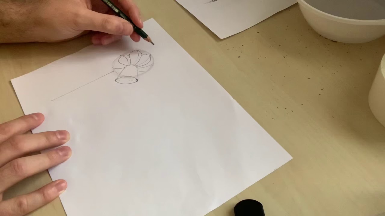 Így rajzolj egyszerűen virágokat (nárcisz, tulipán, margaréta)