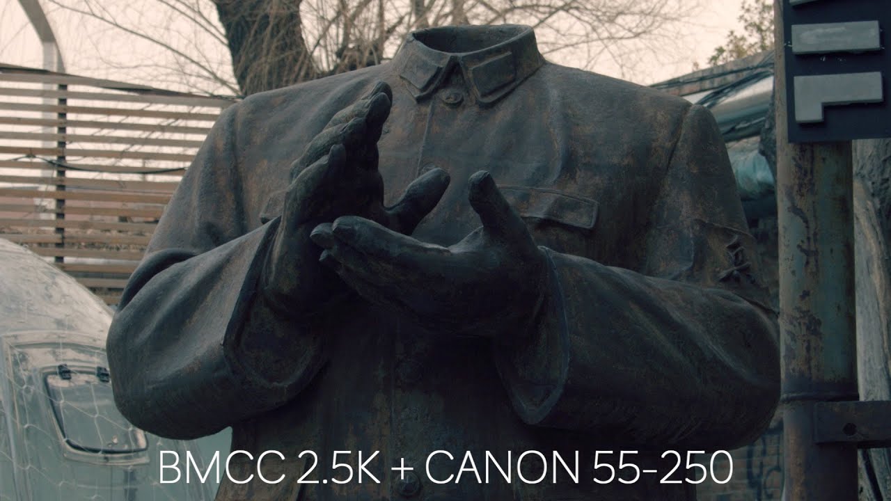 BMCC 2.5K + Canon 55-250 | VIDEOART |  #BMCC