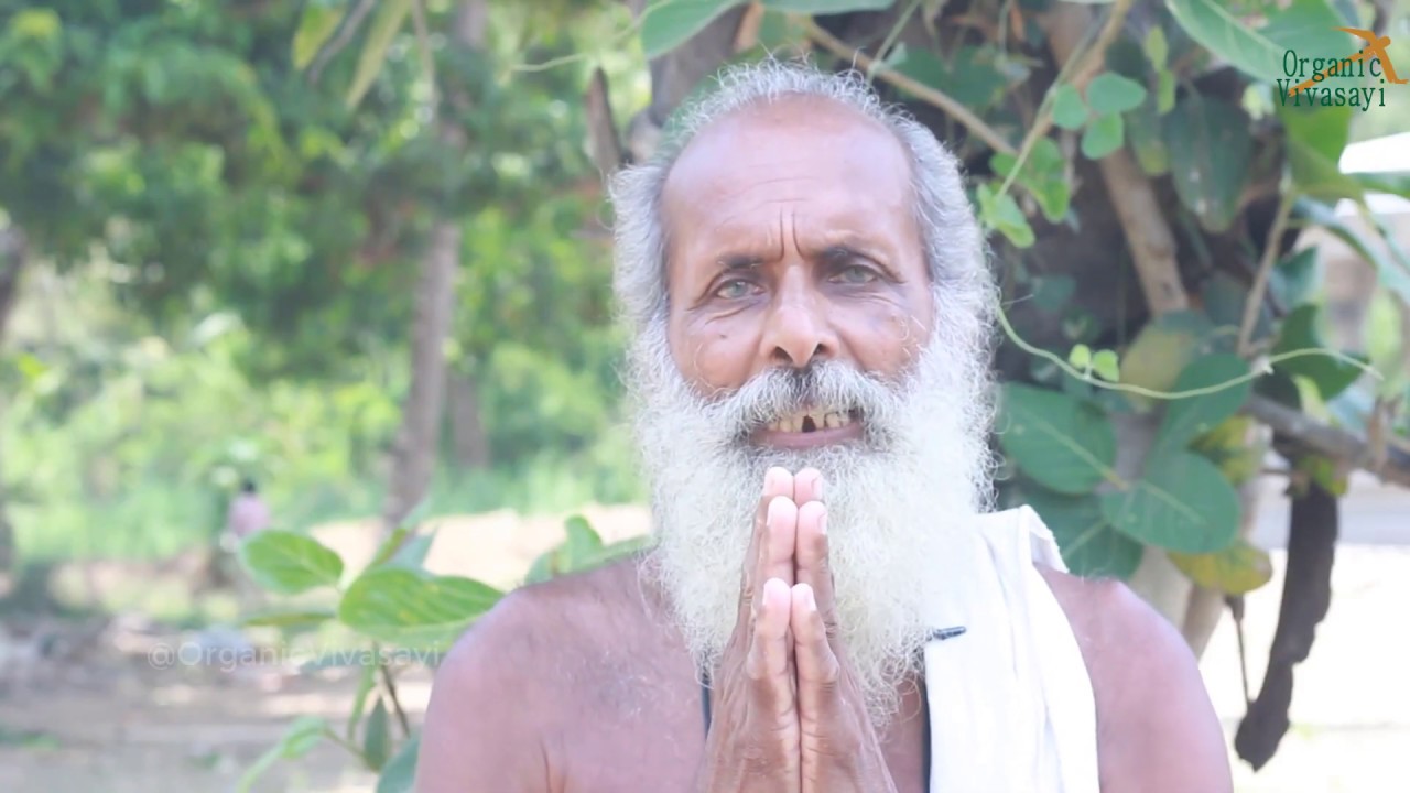 பனை மரம் பற்றி நாம் அறியாத தகவல்கள் | Unknown Facts About palm Pannai Maram sattai aniya samiyappan