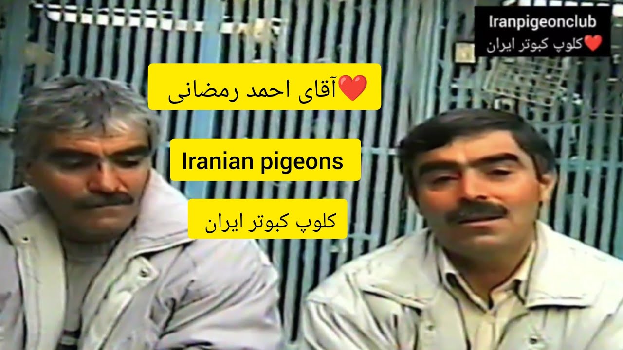 ❤️سال۱۳۸۳گزارش آقای علی ذکایی ازکبوترخانه آقای احمد رمضانی دولابی از تهرانiranian high flyers pigeon