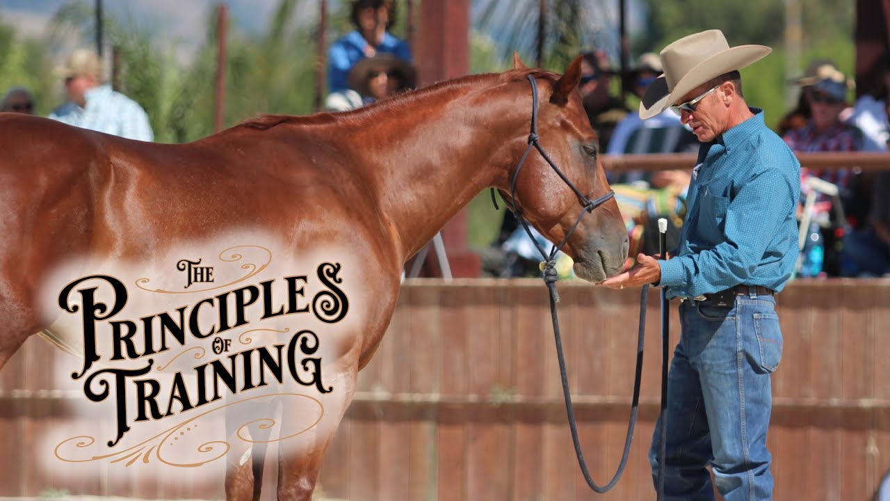 The Principles of Training Season 1 Episode 5: 