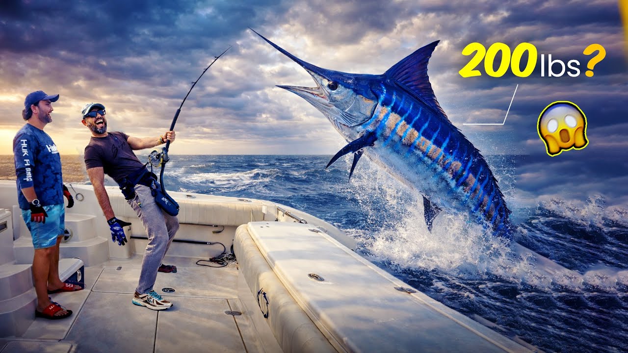 Fish of a lifetime approx 200lbs Marlin | Tag and Released 🎣🔥