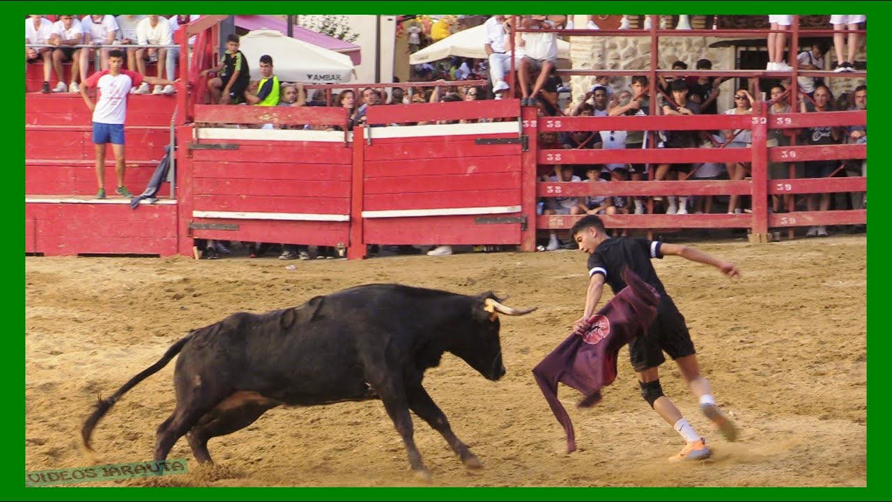 NOVALLAS ( ZARAGOZA ) TARDE VACAS PLAZA ( SABADO 1 JULIO 2023 ) GANAD.ORO VELA
