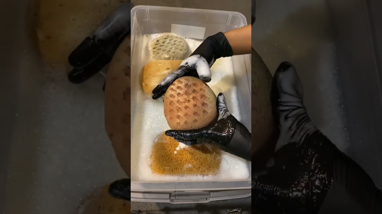 #spongerelax