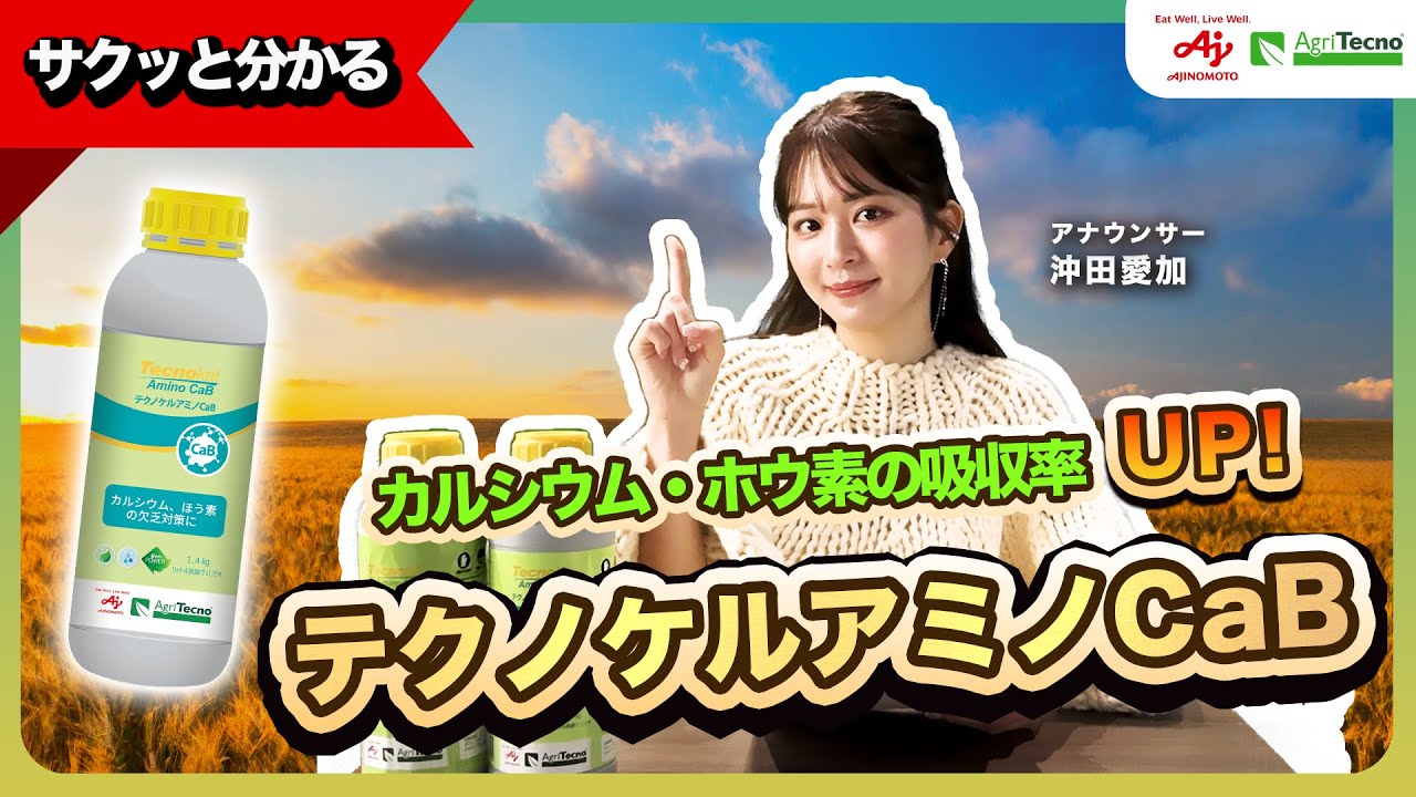 実割れ防止＆葉の補強！プロ農家が選ぶテクノケルアミノCaBの実力とは!?