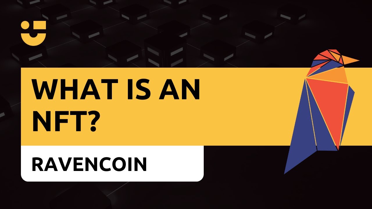 NiceTalk Highlights: What is an NFT?