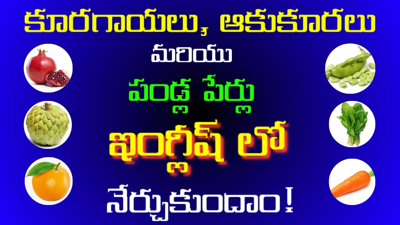 ప్రతిరోజూ మాట్లాడే  కూరగాయలు, ఆకుకూరలు & పండ్ల పేర్లను ఇంగ్లీషులో నేర్చుకుందాం | #503 |  #english