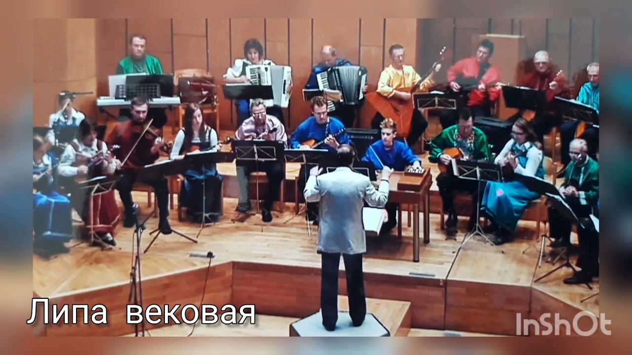 Липа вековая