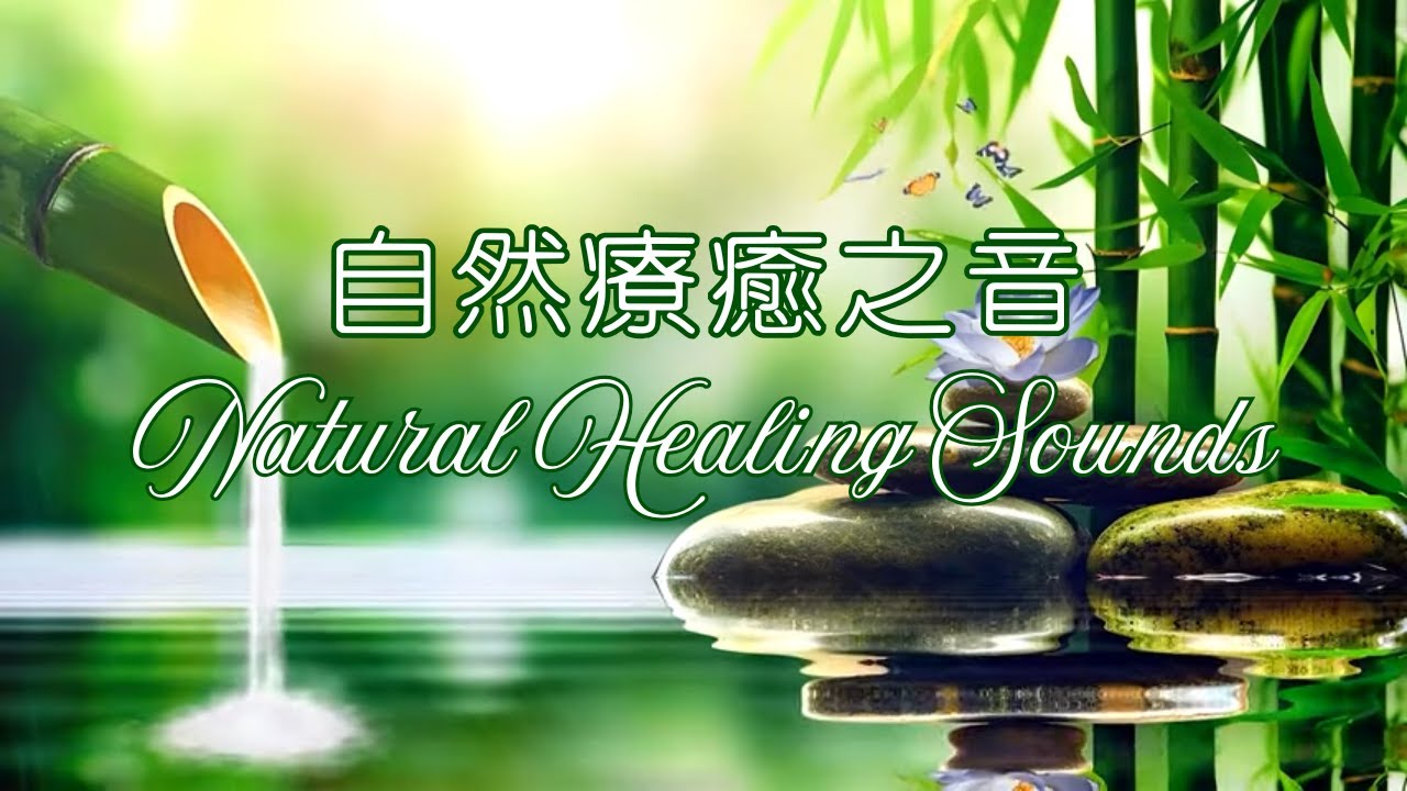 Perfect blend of elegant harp melodies and the soothing sounds of flowing water 自然療癒之音