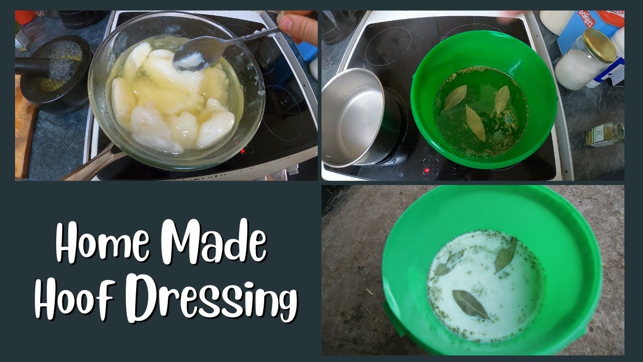 How To Make Home Made Hoof Dressing / Equestrian How To