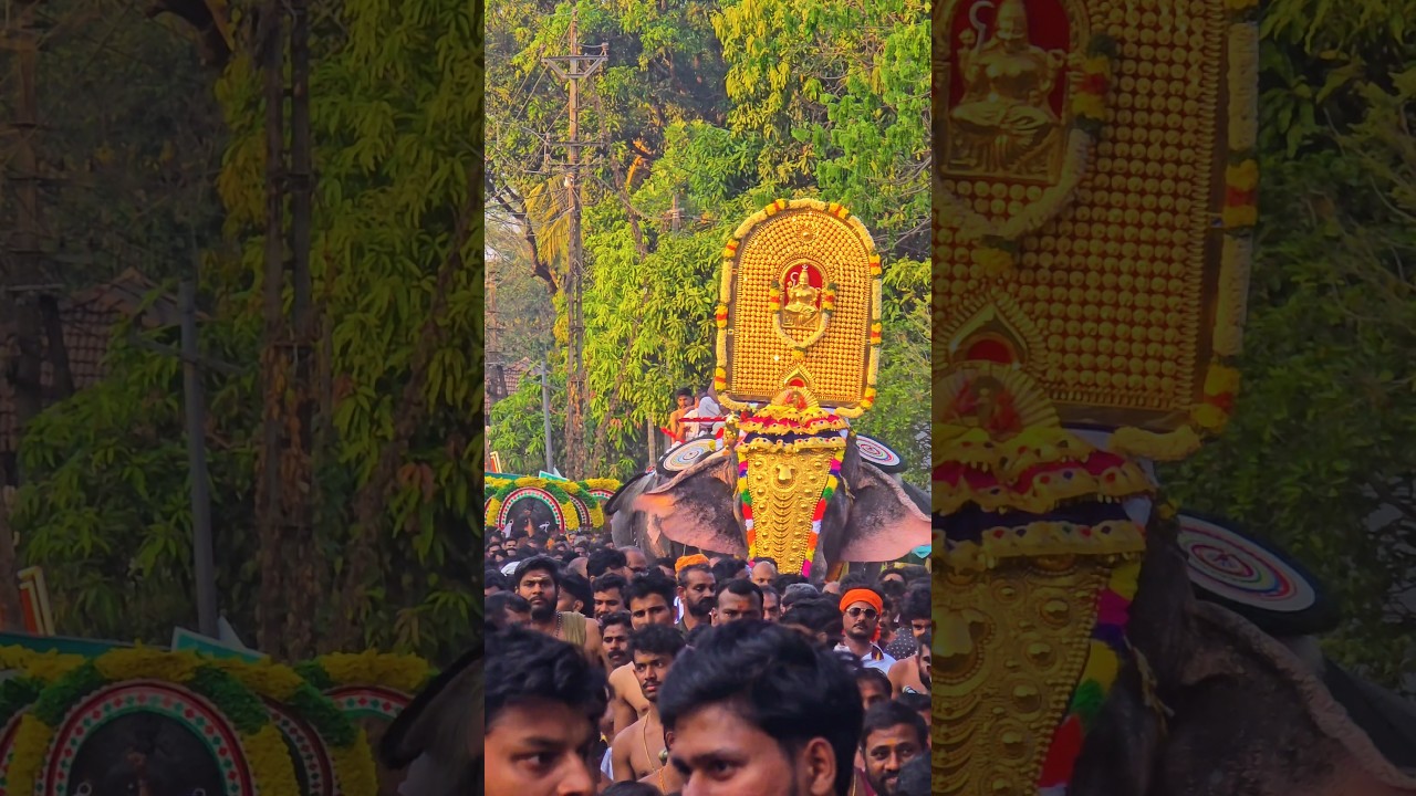 Grand Elephant Procession 🐘✨ | Pariyanampetta Pooram Goosebumps Moment #Pooram2026