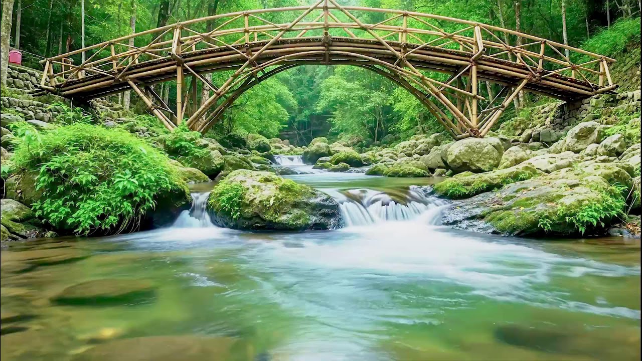Flowing River Sound for Deep Sleep | Calm Nature Noise for Wellness and Sleep Aid