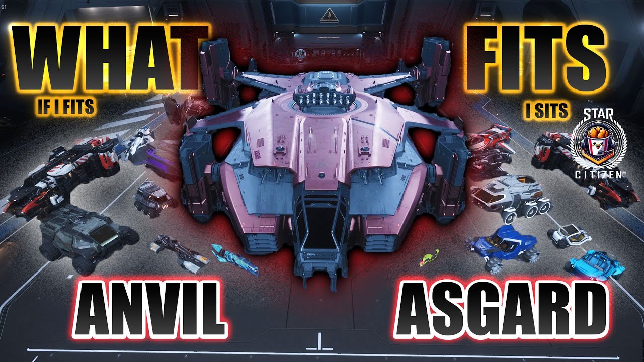 WHAT FITS inside The Anvil Asgard - Star Citizen 4.1.1