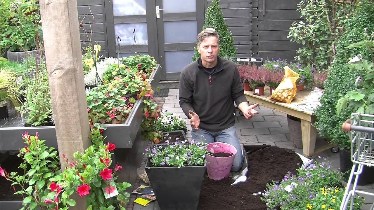 RTV Tuinidee bloembollen