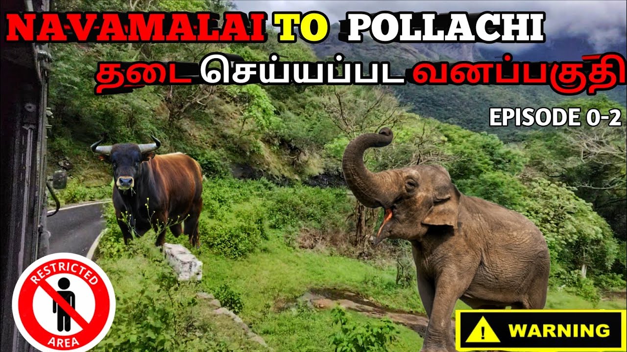அதி பயங்கர வனப்பகுதிக்குள் பேருந்து பயணம் | Navamalai TNSTC BUS JOURNEY | POLLACHI
