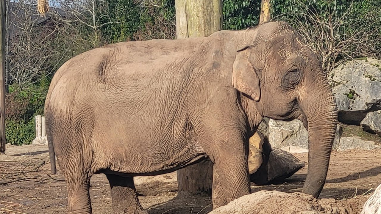 Chester Zoo on Valentines Day 