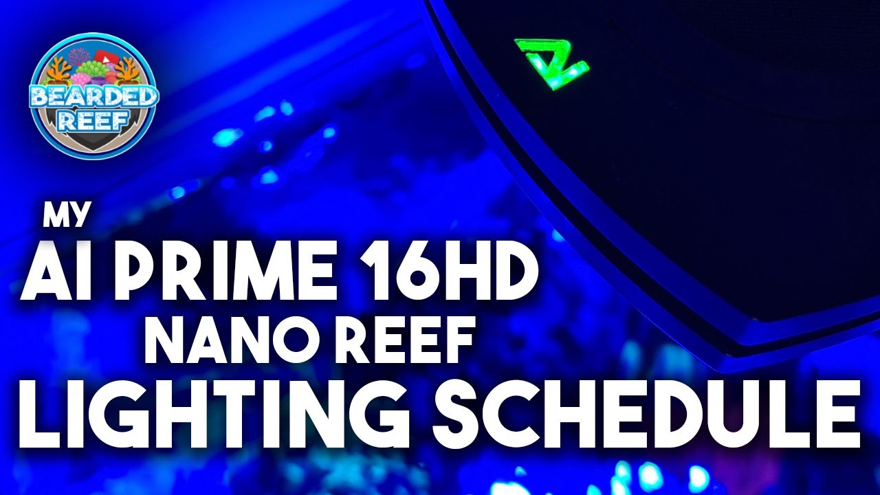 My AI Prime 16 HD Nano Reef Tank Lighting Schedule