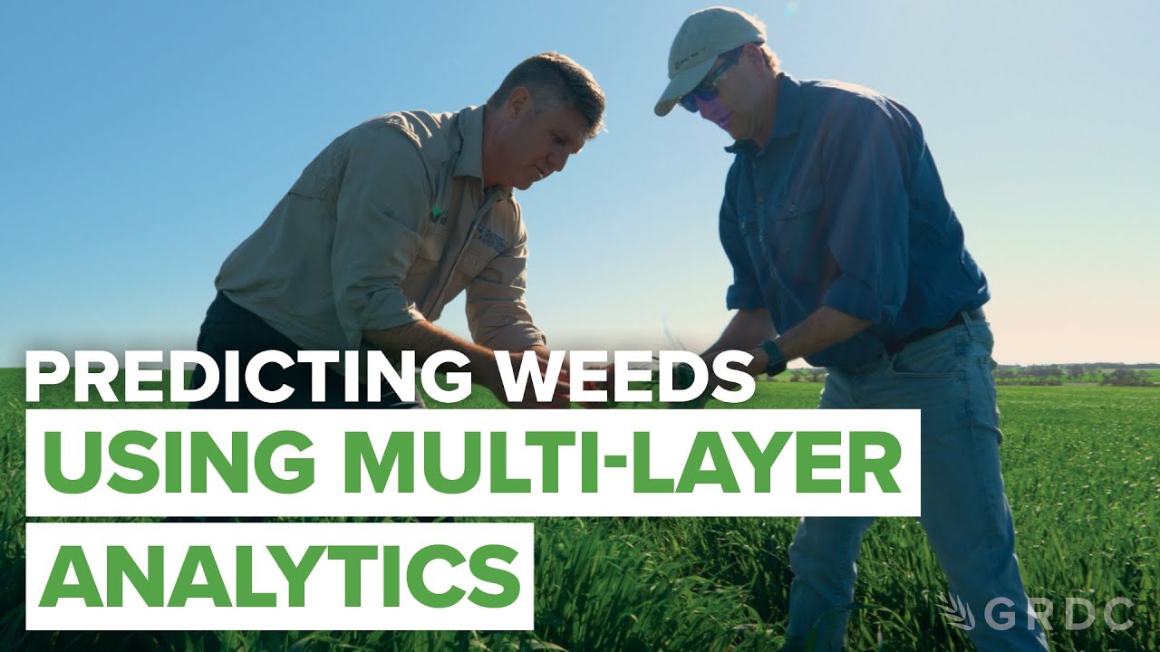 Pushing the boundaries of weed control: Next-gen analytics for weed management