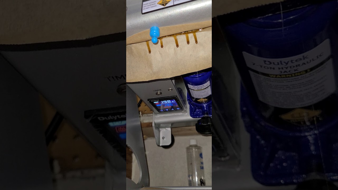 Apical Greens part1 TrumpT1