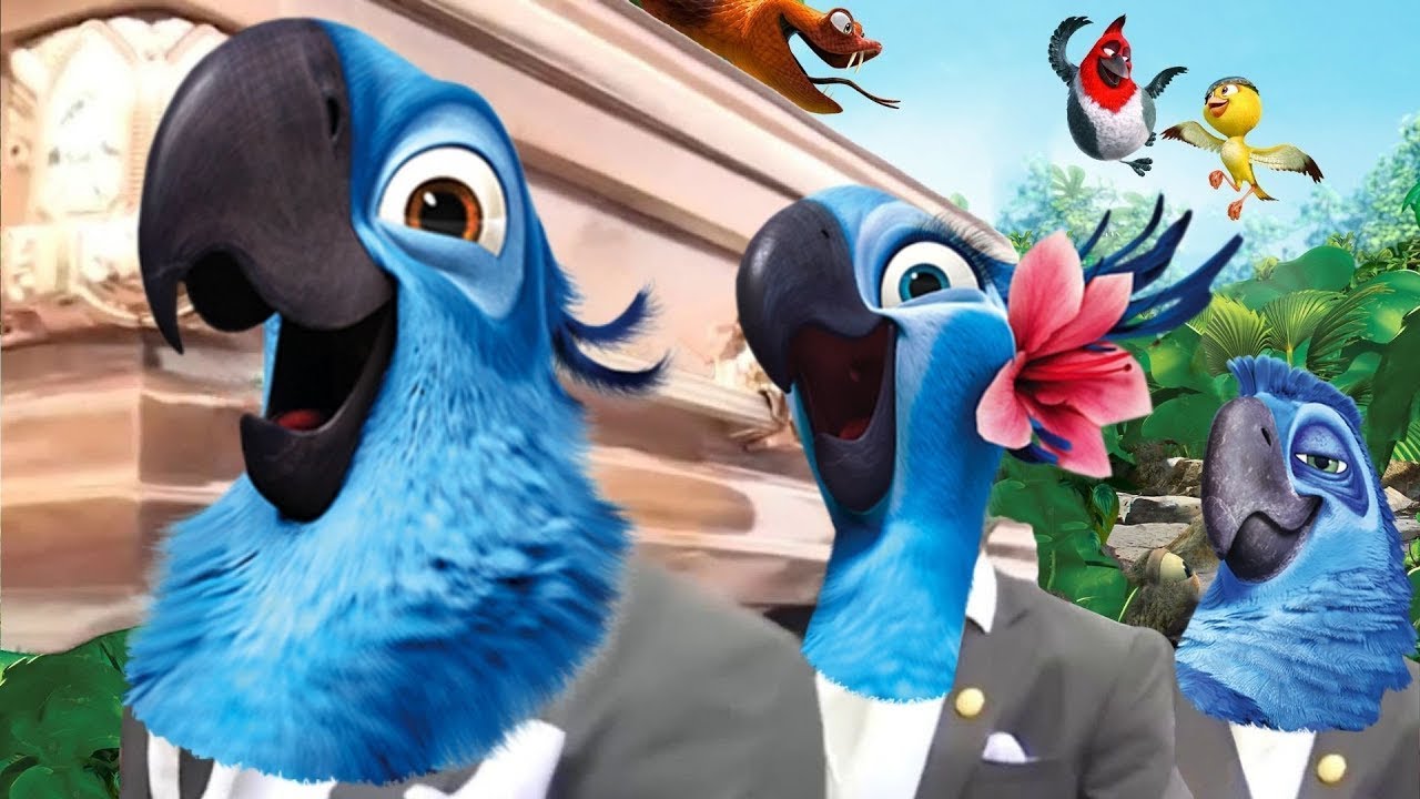 RIO 2 - Coffin Dance Song (COVER)