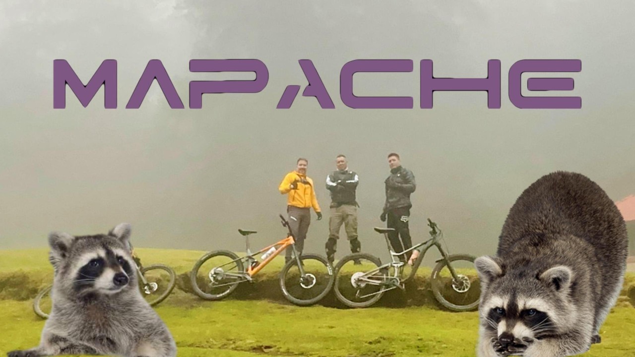 Mapache, perfecta para curvear (Ajusco)