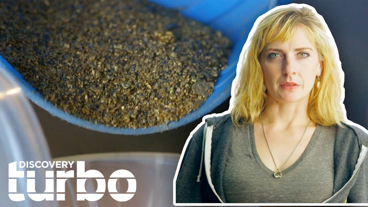 Eroica's Crew Find Over 15 Ounces Of GOLD During 10-Hour Dive! | Bering Sea Gold