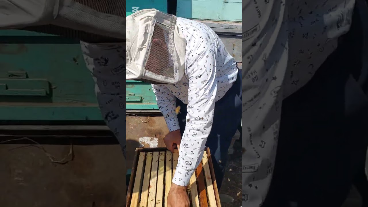 تكملة التجربه هاء 