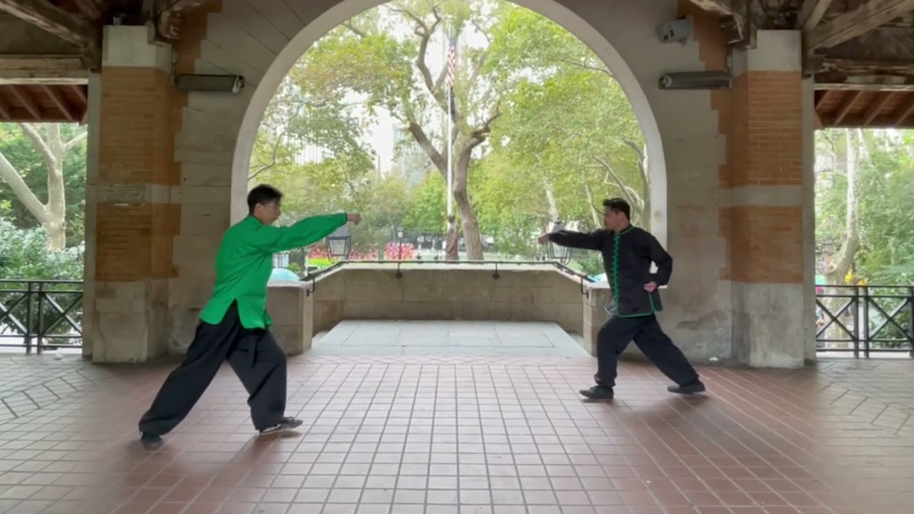 7 Stars Praying Mantis Basic Sparring Form 桃花傘