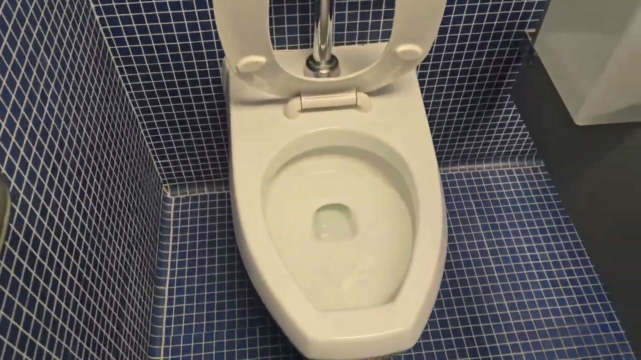 1970s Ocean Blue Women's Restroom: Vintage Crane Santon Flush Test