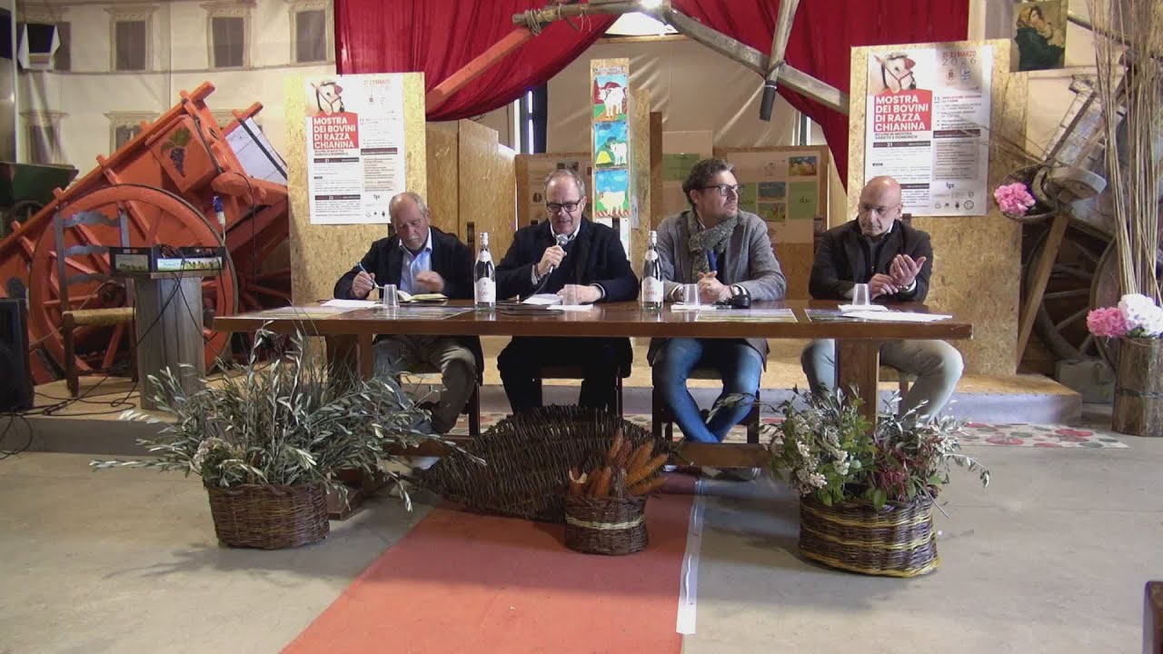 Mostra dei bovini di razza Chianina, la tre giorni