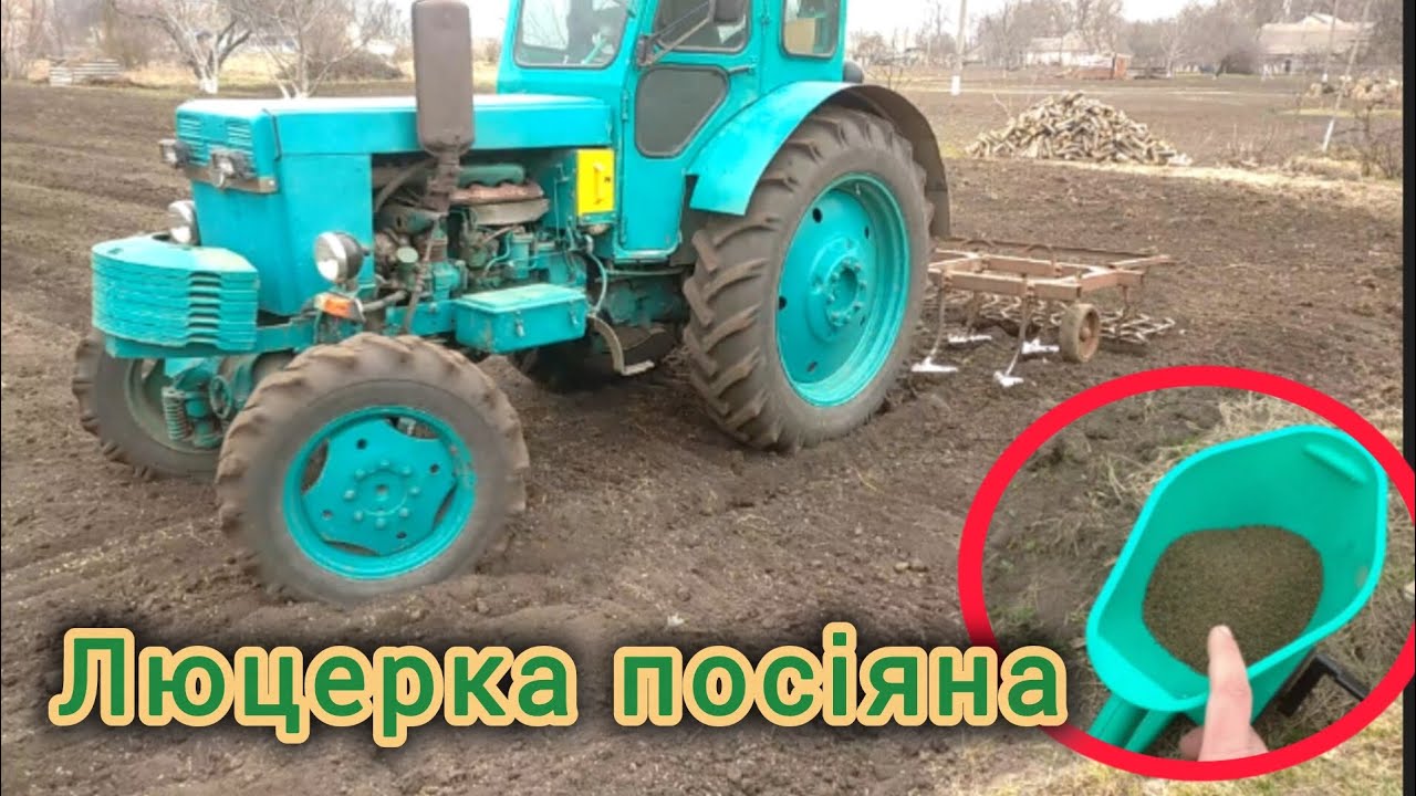 Культивація і посів люцерки і різнотрав'я ручною міні сівалкою#трактор#т40#люцерка#сівалка#рек
