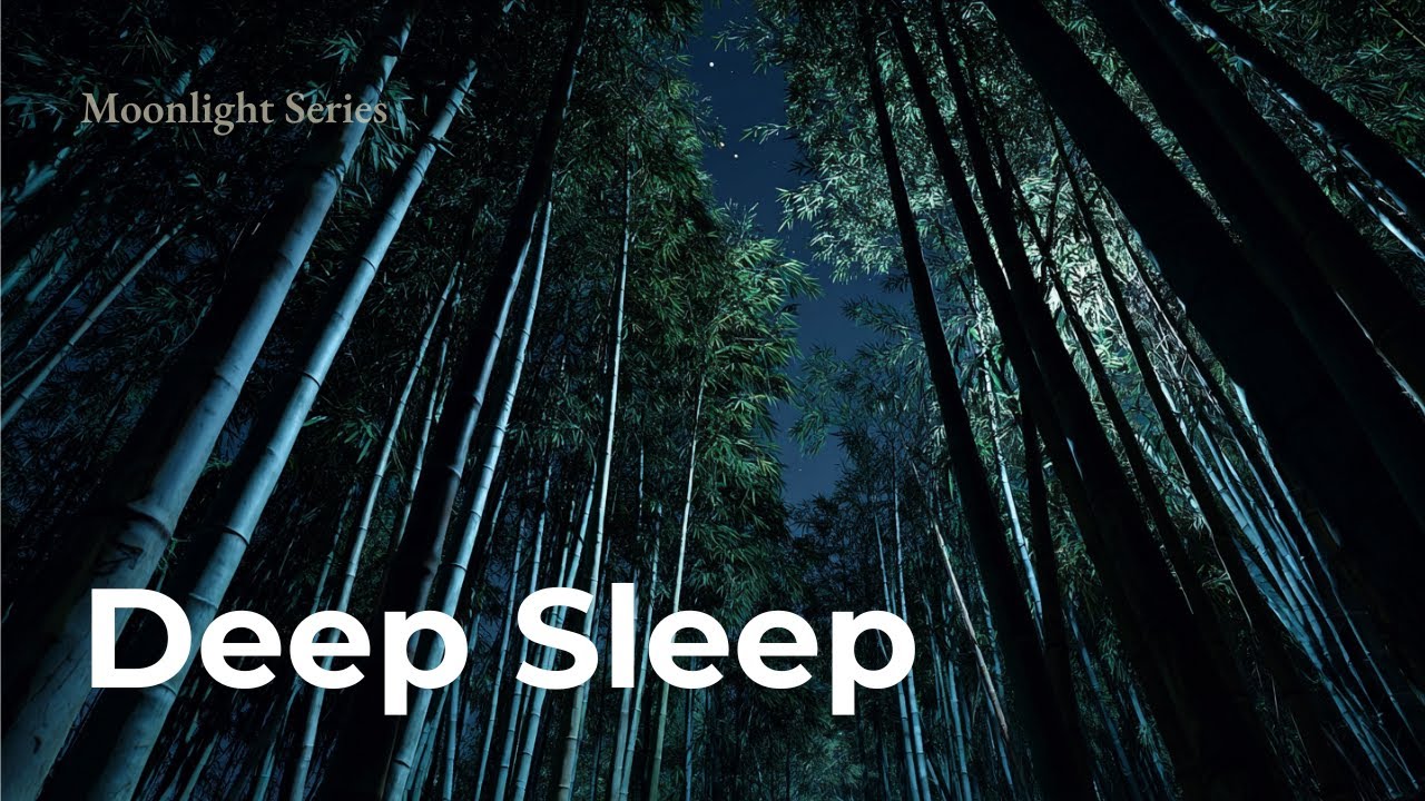 Moonlight Japanese Sleep Stories #05 Quiet Night Story to Help You Fall Asleep