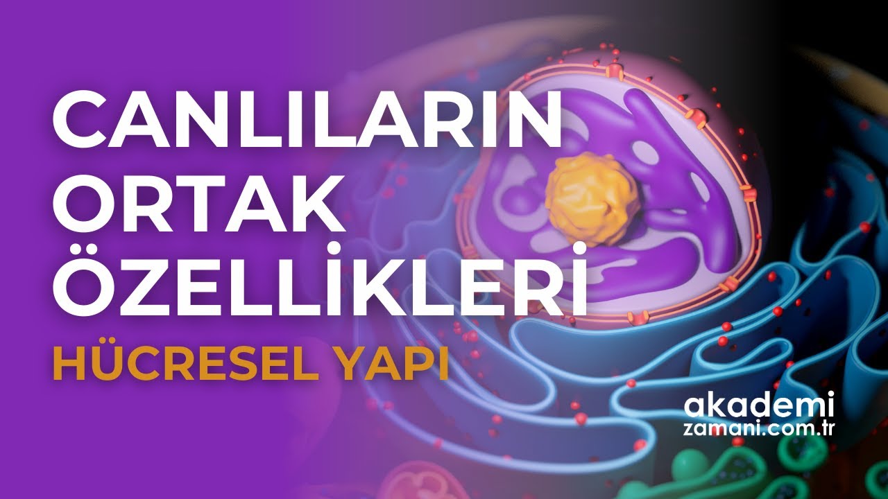 Canlıların Ortak Özellikleri 1 - Hücresel Yapı | TYT Biyoloji | yks2024