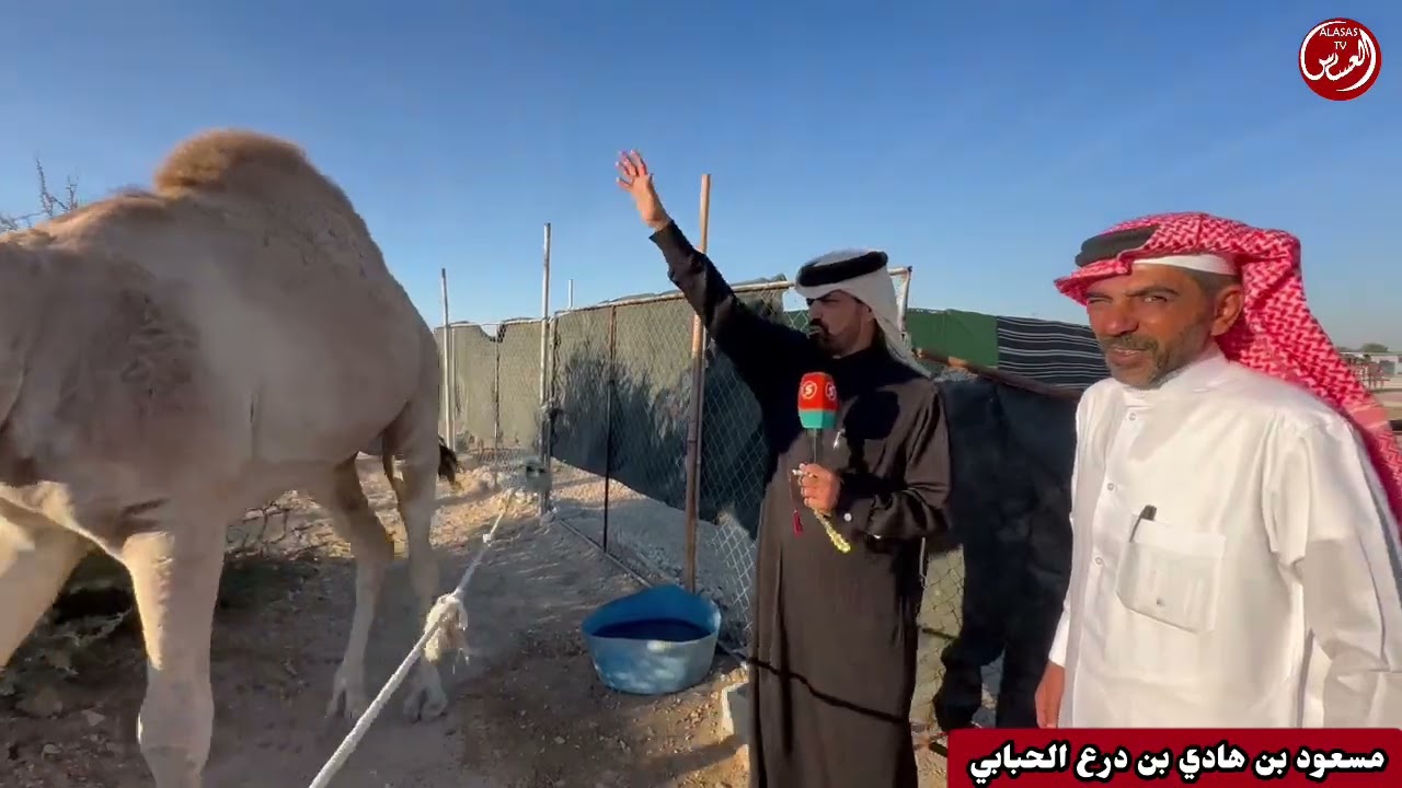 عزبة مالك الابل والشاعر :مسعود هادي بن درع الحبابي