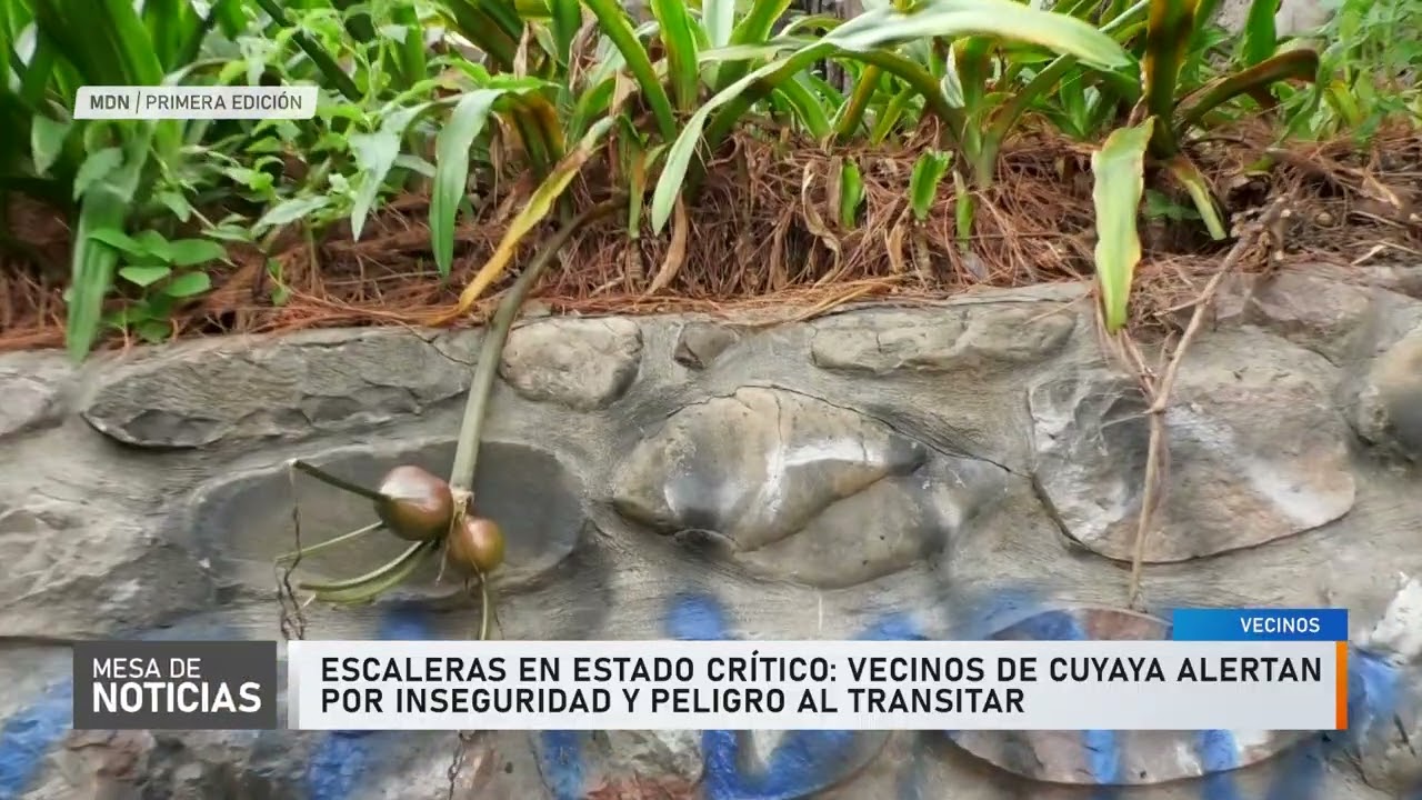 Escaleras abandonadas: Cuyaya, otro punto descuidado por el municipio