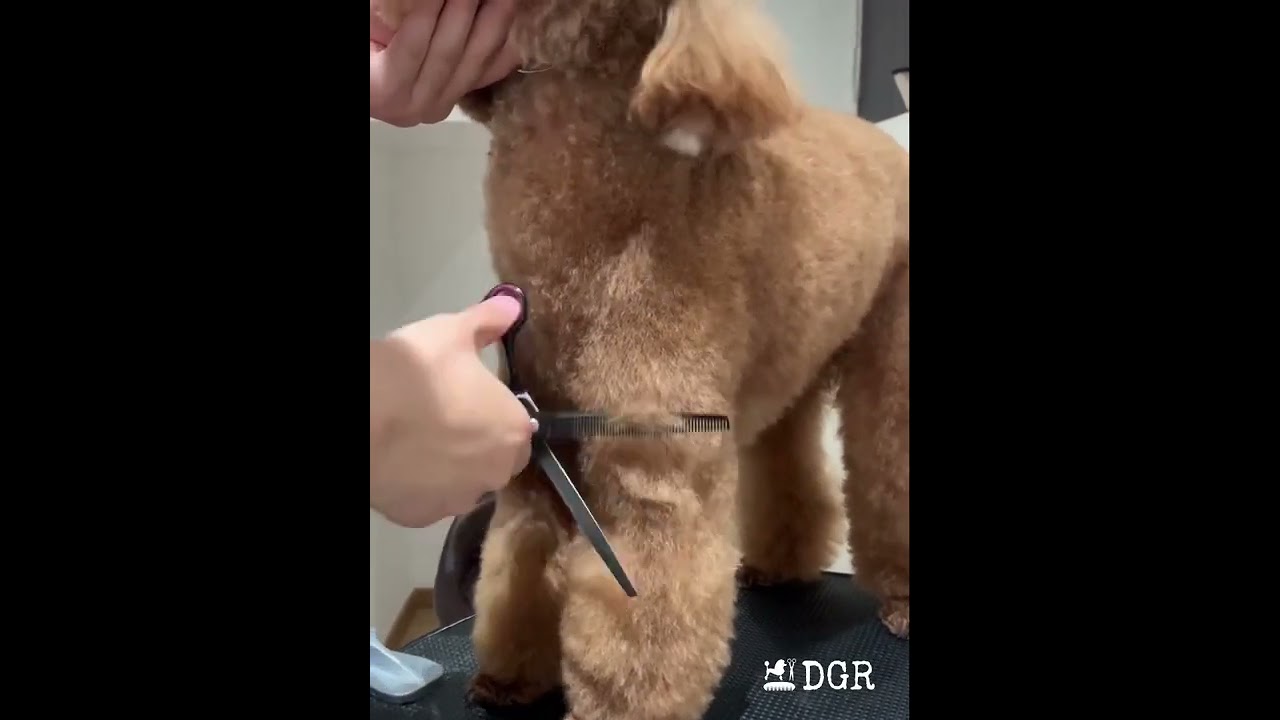 #DogGroomersRock  8