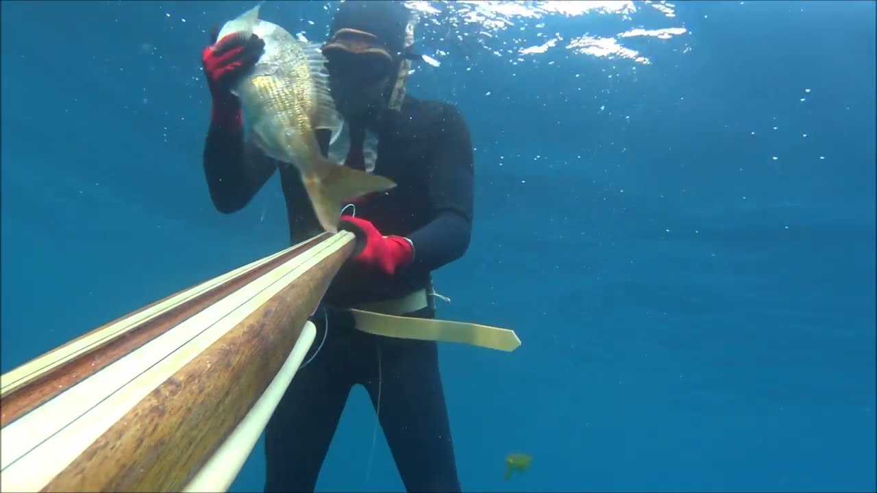Hitman spearfishing - mission DENTEX*