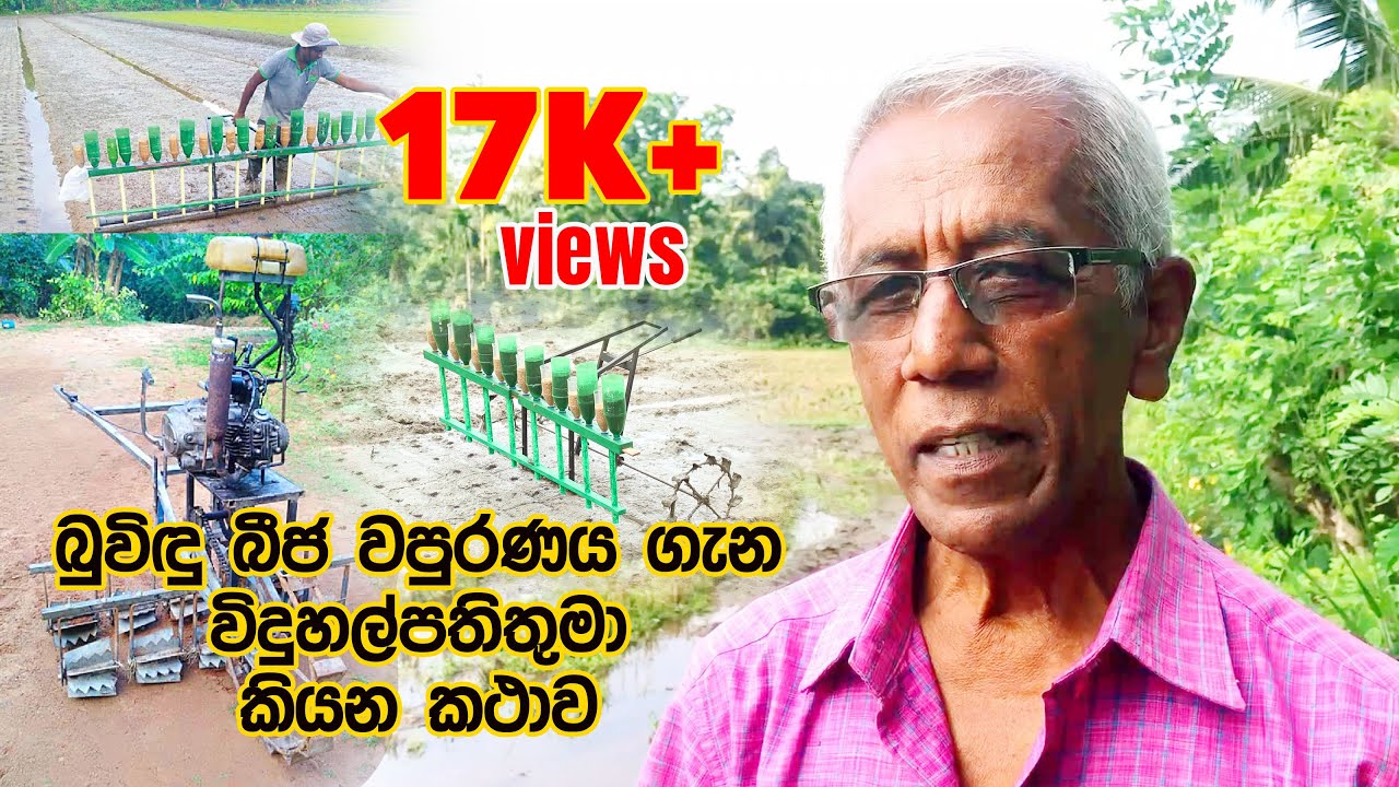 Buvindu Beeja Wapuranaya I බුවිඳු බීජ වපුරණය