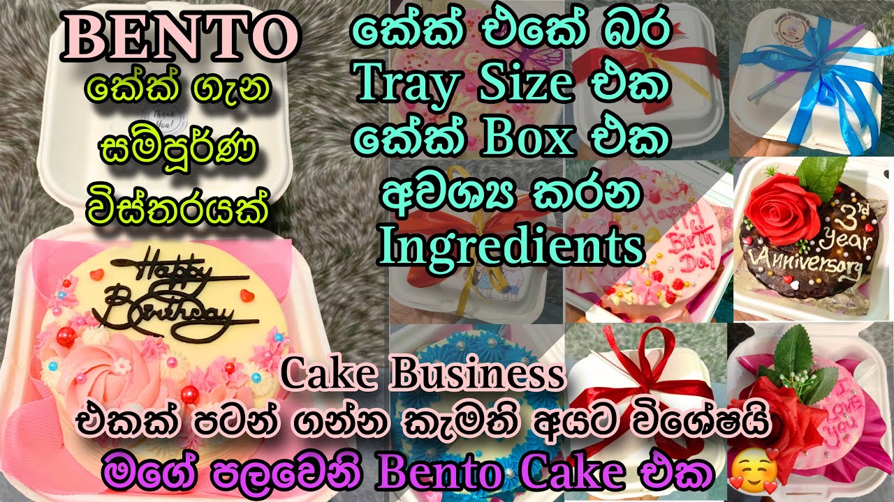 BENTO කේක් ගැන සම්පූර්ණ විස්තරයක්🎂😍 කේක් Business කරන අයට ගොඩක් වැදගත් වෙයි🩵 How to cake Bento cake🥰