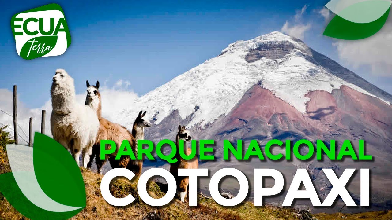 Ecuaterra | El agua de las lagunas del Parque Nacional Cotopaxi proviene de deshielos del volcán
