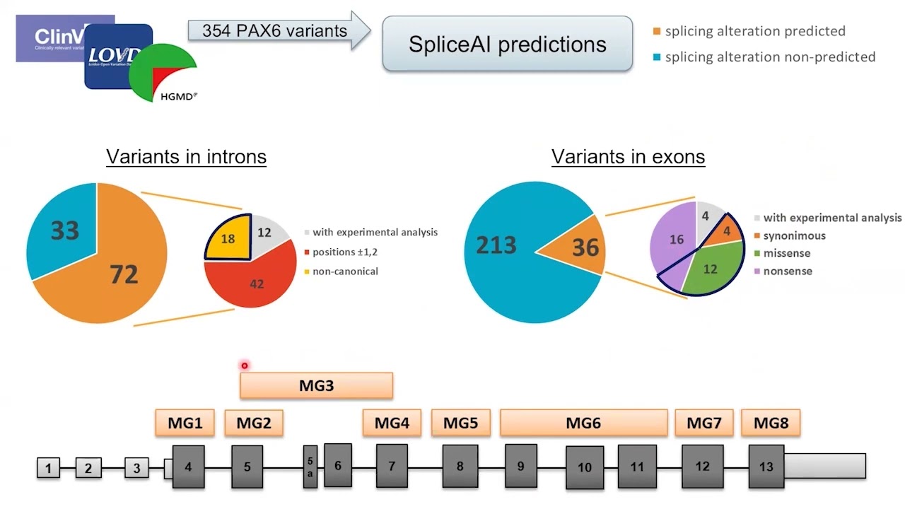Reevaluaci&oacute;n de las variantes de un solo nucle&oacute;tido de PAX6 en pacientes con aniridia cong&eacute;nita