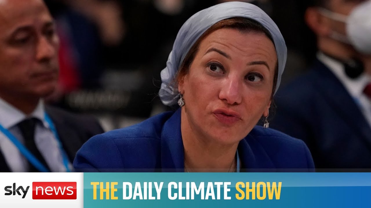 Egypt&rsquo;s environment minister on COP27 goals