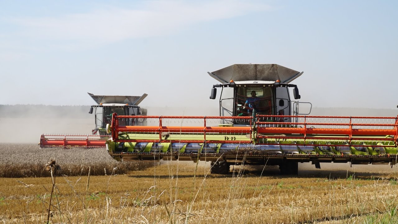 Žně 2023 // ZD Sever Loukovec