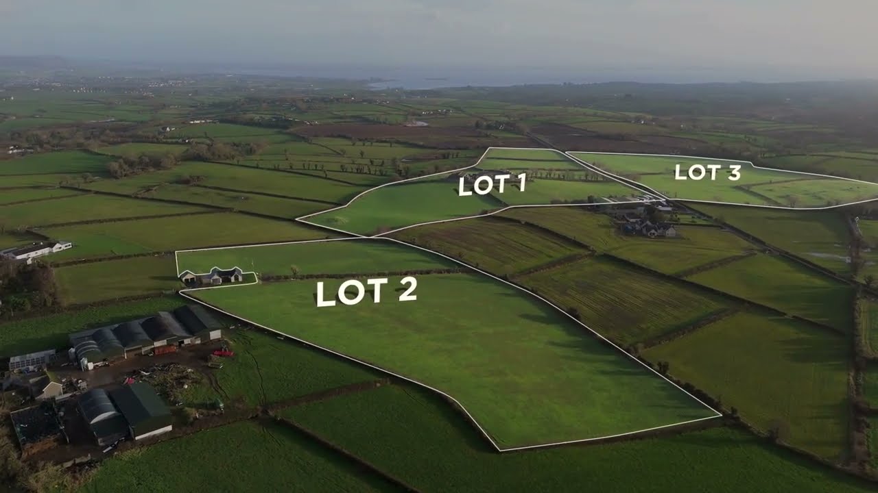 31 The Burn Road, Comber