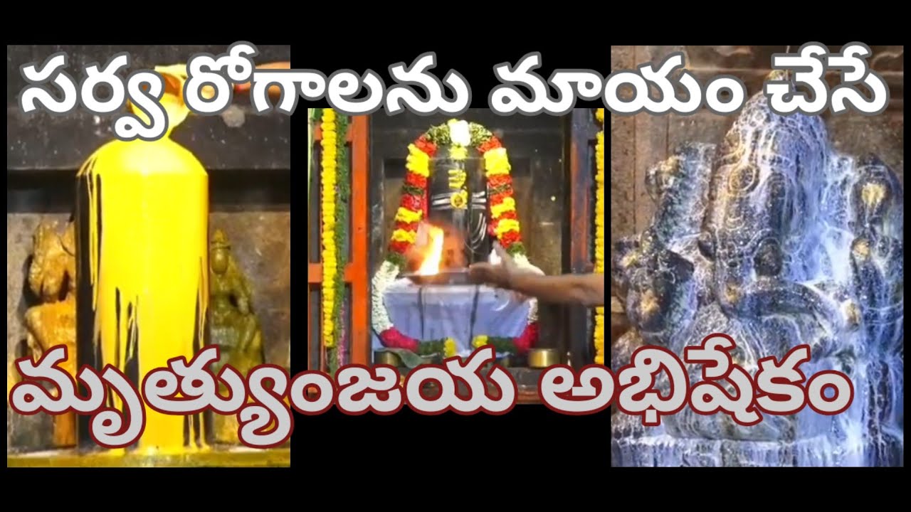 శ్రీకాళహస్తి దేవస్థానం లో మృత్యుంజయ అభిషేకం