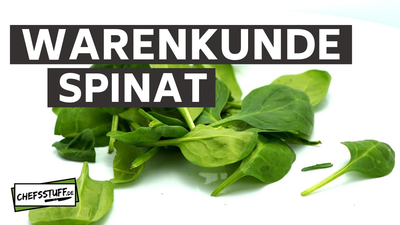 Warenkunde  - Babyspinat / Blattspinat  hier geht´s rund um den grünen Alleskönner
