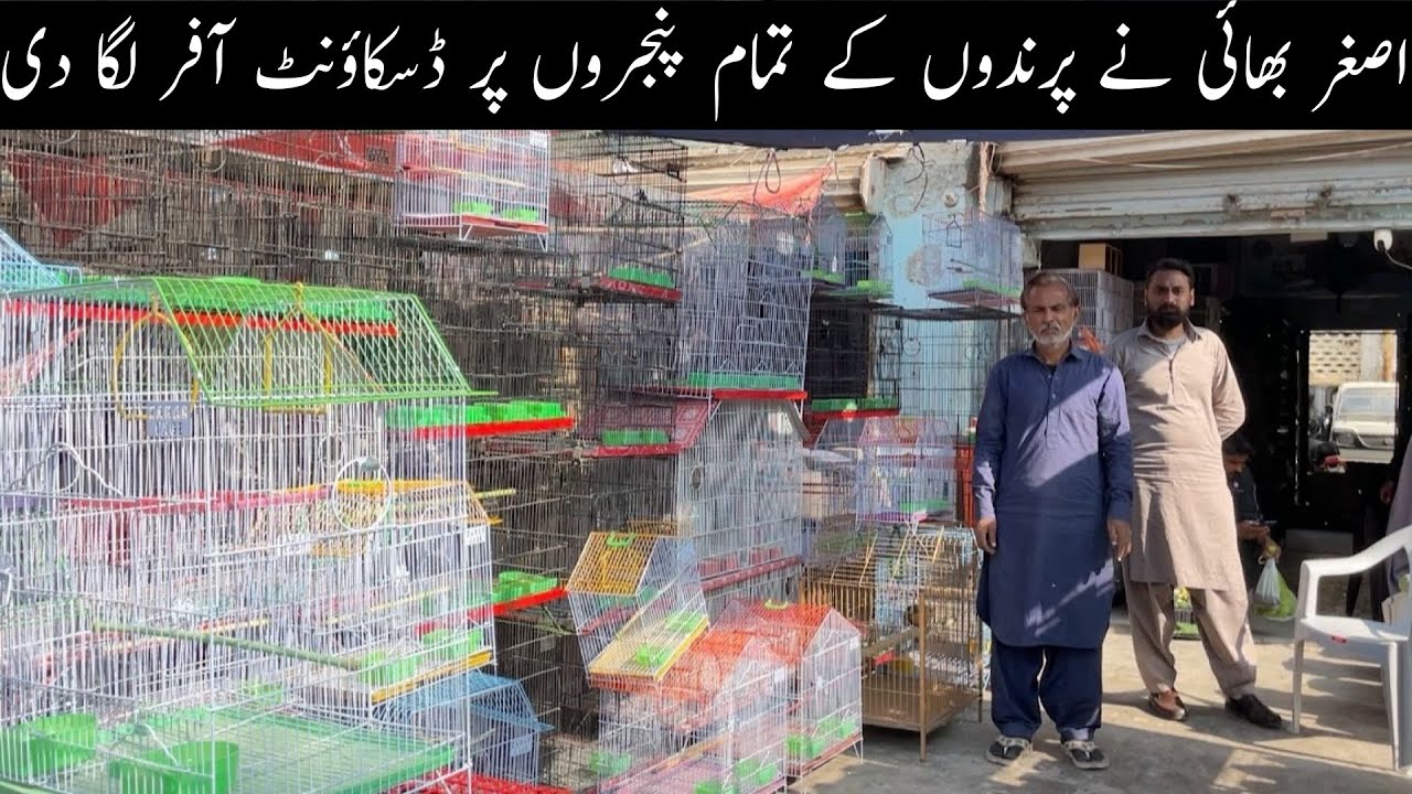 Birds All Varities New Cages Availible at Asghar Shop in Lalukhet Market 😯 Birds New & Folding Cages